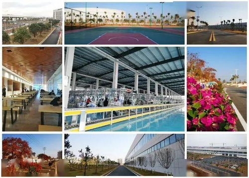 智能化果園式工廠 斯沃德教育科技誠(chéng)邀技術(shù)開(kāi)發(fā)精英共筑未來(lái)